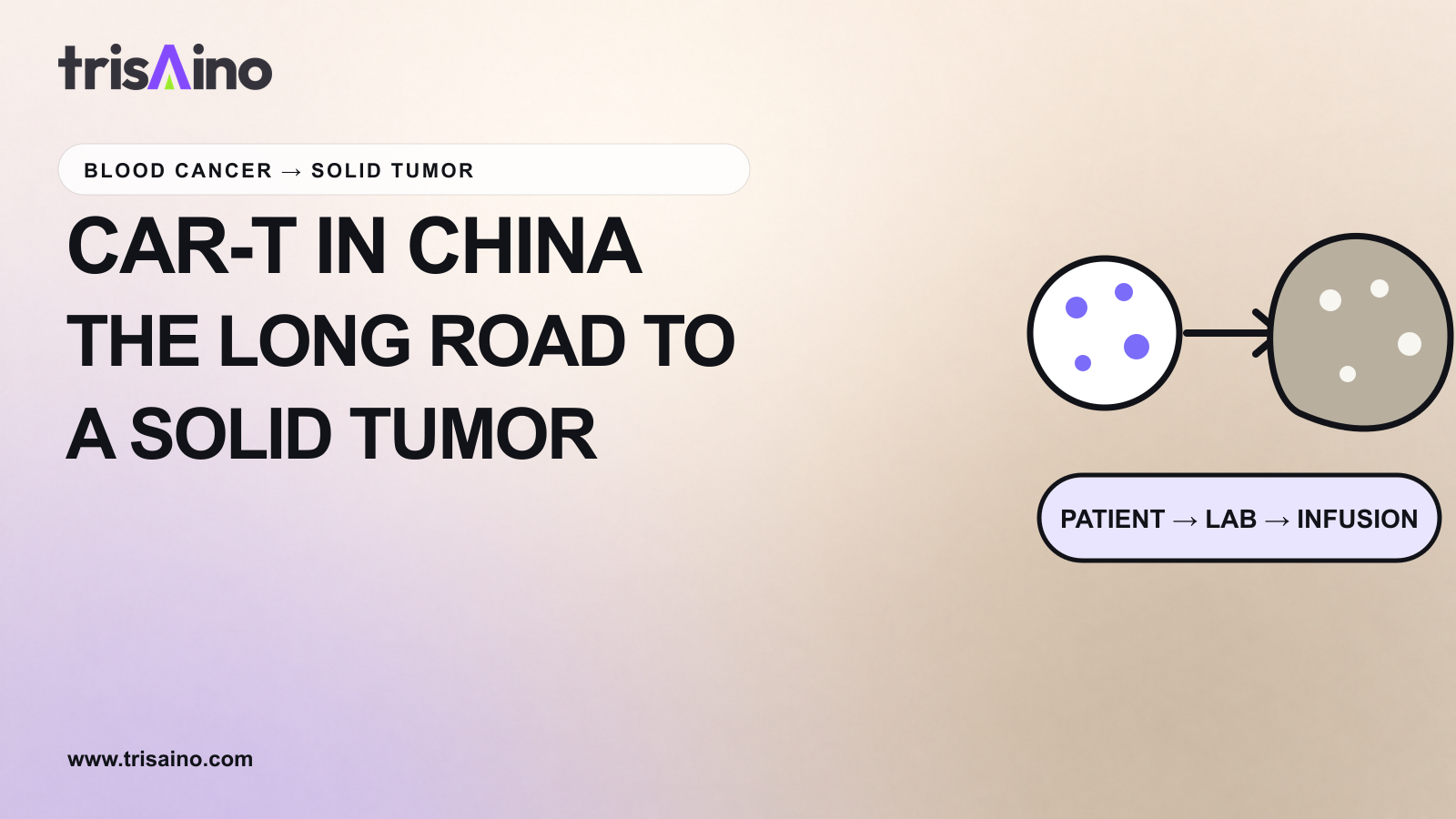 Editorial CAR-T pathway diagram moving from blood cancer to a solid tumor